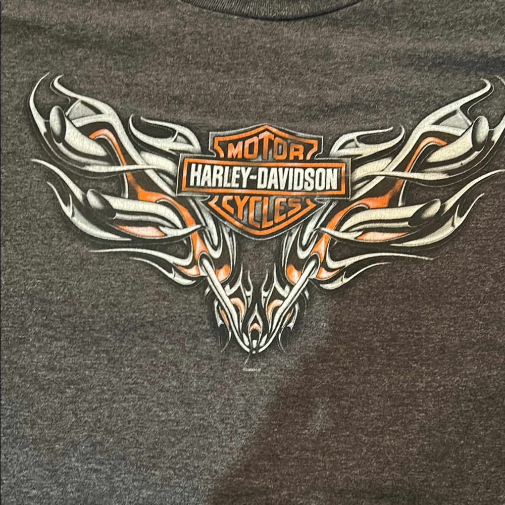 Harley-Davidson Gray Tee with Texas Longhorn Design